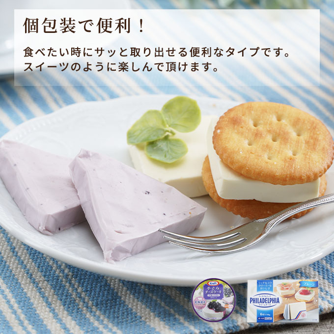 チーズ＆チーズケーキセット 定期便 2ヶ月 クラフトチーズ バラエティ 20個 セット 詰め合わせ カマンベールチーズ クリームチーズ スライスチーズ 乳製品