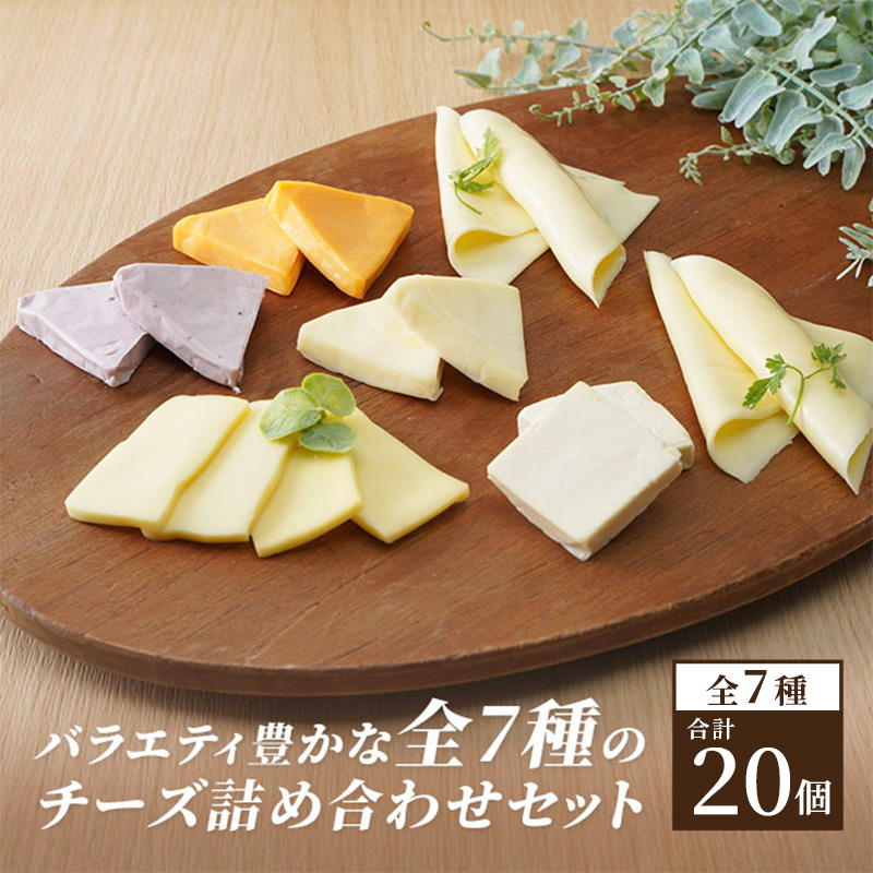 チーズ＆チーズケーキセット 定期便 6ヶ月 クラフトチーズ バラエティ 20個 セット 詰め合わせ カマンベールチーズ クリームチーズ スライスチーズ 乳製品