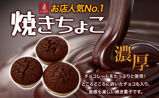 寒川町特産品 焼きちょこ 20個入り しっとり 濃厚 チョコレート 焼き菓子 焼菓子 リッチ 滑らか チョコ ショコラ デザート スイーツ ラメール洋菓子 ギフト 贈答品 プレゼント 送料無料 神奈川県 寒川町
