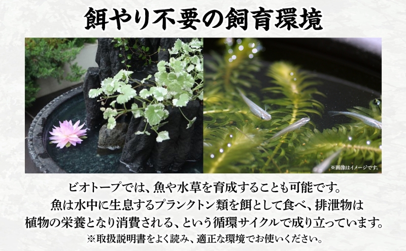 昇龍の滝 大サイズ 滝音 ビオトープ せせらぎ 庭 バルコニー メダカ エサやり不要 癒し ガーデニング リラクゼーション アクアフォレスト 神奈川県寒川町(※鉢はついていません)