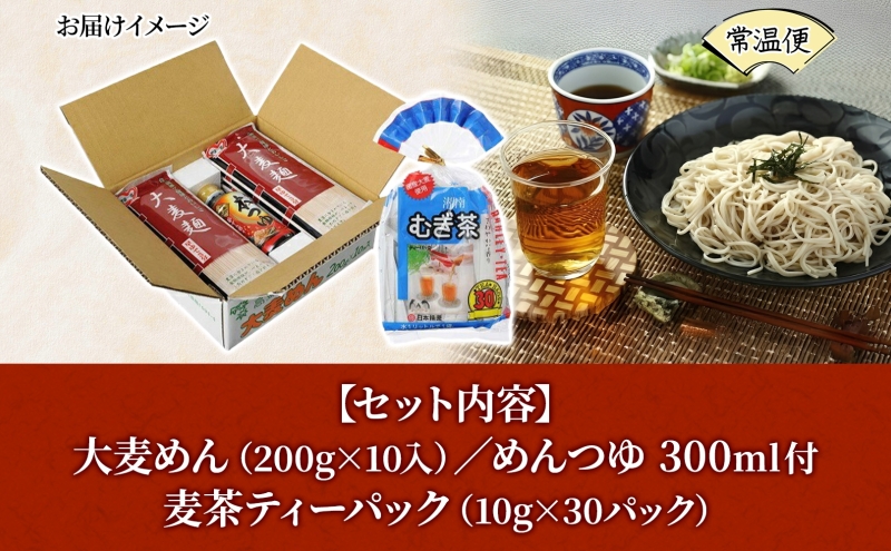 大麦麺 200g×10入 麦茶 10g×30パック 詰め合わせ ざる麺 麺 主食 温かい 冷たい つゆ めんつゆ ノンカフェイン 茶 お茶 水出し 煮出し ホット アイス 水分補給 飲料 グルメ アレンジ 素朴 大麦 麦 香ばしい 日本精麦 送料無料 寒川町 神奈川県