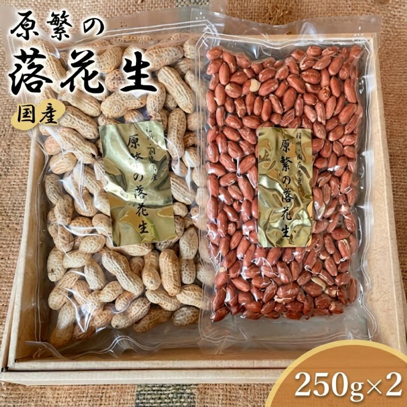【11月下旬から順次発送】原繁の落花生 2袋 セット 国産 落花生 新豆入荷待ち