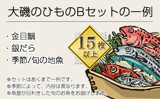 【定期便12か月】おおいその干物Bセット（15枚以上）／ 季節で変わる旬な訳あり品 【 ひもの 魚 天日干し 神奈川県 大磯 湘南 特産品 12回お届け 神奈川県 大磯町 自家製干物 贈答品 地魚 お歳暮・お中元】