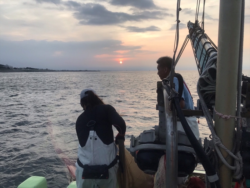 湘南大磯しらす網元 松道丸・釜揚げしらす 3パック 600g （200g×3）【 しらす 魚介類 海鮮 惣菜 おかず ギフト 簡単調理 冷凍配送 送料無料 神奈川県 大磯町】