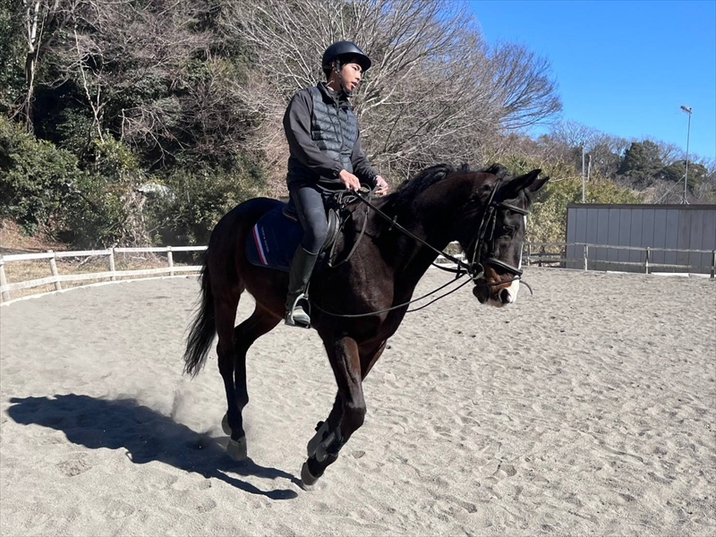 馬と絆を深める！大自然満喫1時間乗馬体験【 体験 レッスン 神奈川県 大磯町 】