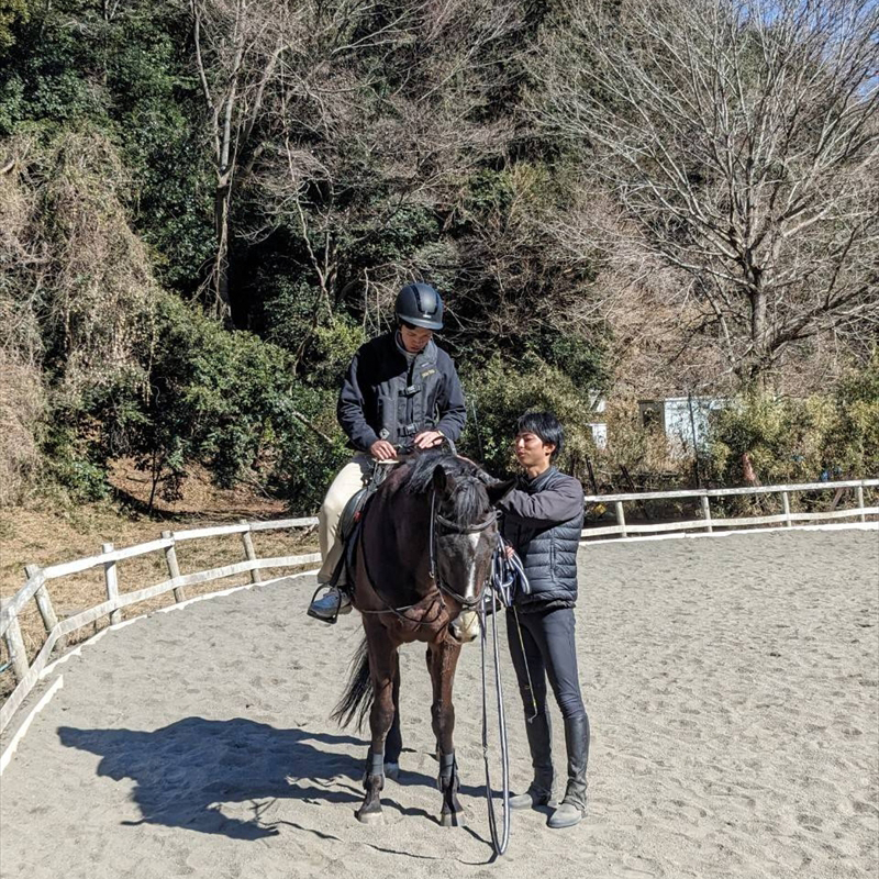 ホースライフを体験！乗馬クラブ半日お仕事体験＆乗馬レッスン【 体験 レッスン 神奈川県 大磯町 】