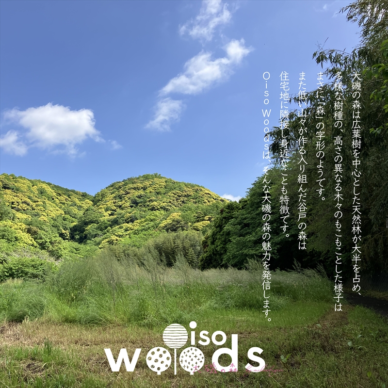 大磯の森ロゴTシャツ　XLサイズ（アーシー×パープル）・大磯の森染め手拭い セット　 大磯の森ステッカーつき【 Tシャツ 神奈川県 大磯町 】