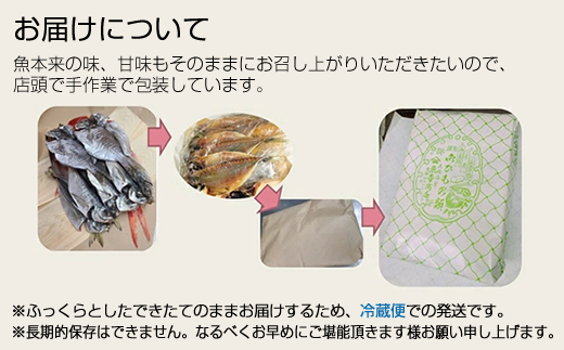 【定期便3か月】おおいその干物Bセット（15枚以上）／ 季節で変わる旬な訳あり品 【 ひもの 魚 天日干し 神奈川県 大磯 湘南 特産品 3回お届け 神奈川県 大磯町 自家製干物 贈答品 地魚 お歳暮・お中元】