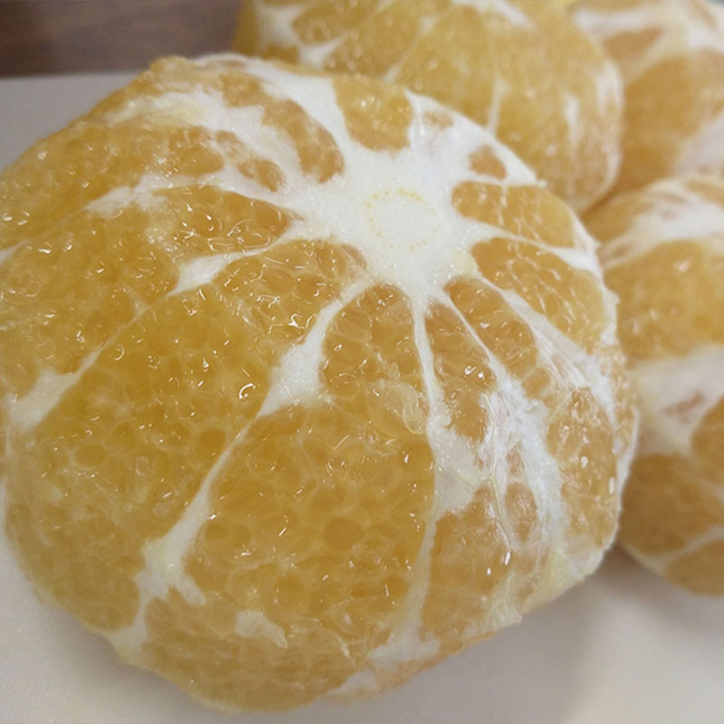 【ラッピング無し・ご自宅用】「湘南のパウンドケーキ屋 三日月」季節をいただく！パウンドケーキの詰め合わせ　7種 9個【 お菓子 神奈川県 大磯町 贈答品】