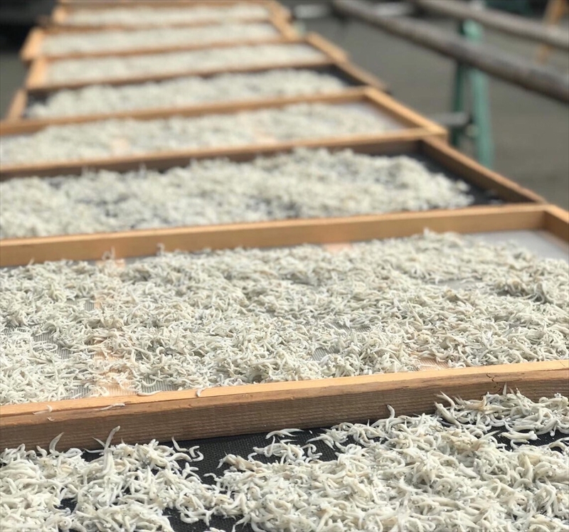 湘南大磯しらす網元 松道丸・釜揚げしらす 2パック 400g （200g×2）【 しらす 魚介類 海鮮 惣菜 おかず ギフト 簡単調理 冷凍配送 送料無料 神奈川県 大磯町】