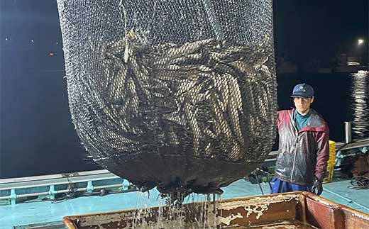 めしや大磯港 お食事券 5,000円分【 神奈川県 大磯町 お食事券 食事券 】