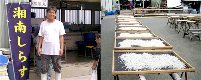 湘南大磯しらす網元 松道丸・釜揚げしらす 3パック 600g （200g×3）【 しらす 魚介類 海鮮 惣菜 おかず ギフト 簡単調理 冷凍配送 送料無料 神奈川県 大磯町】