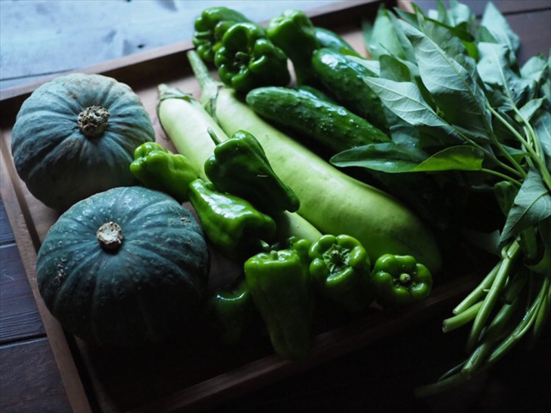 【定期便12回】旬の野菜セット（年間/12回）【 神奈川県 大磯町 季節野菜セット 新鮮野菜】