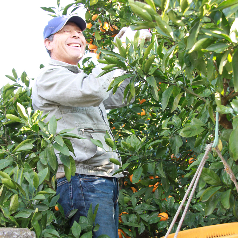 S Bottle　湘南オールインワンスキンケアローション＜オールインワン美容液＞【 神奈川県 大磯町 】