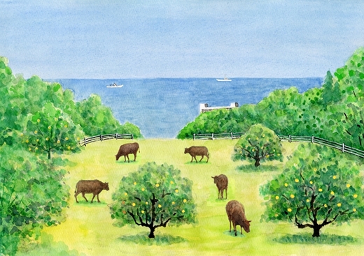 〈牧場直販〉磯姫牛100％粗挽きハンバーグ６個セット〈出荷時期：2026年4月順次出荷開始〉【 神奈川県 大磯町 】