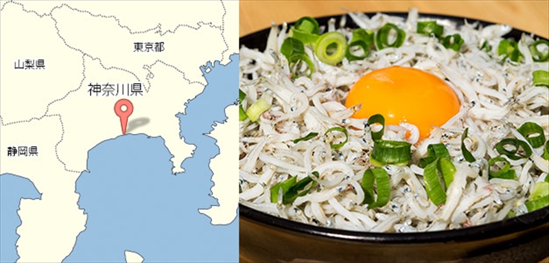 湘南大磯しらす網元 松道丸・釜揚げしらす 3パック 600g （200g×3）【 しらす 魚介類 海鮮 惣菜 おかず ギフト 簡単調理 冷凍配送 送料無料 神奈川県 大磯町】