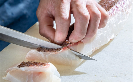 めしや大磯港 お食事券 5,000円分【 神奈川県 大磯町 お食事券 食事券 】