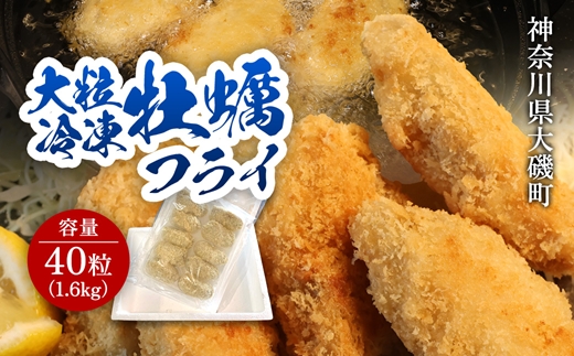 大粒カキフライ 40粒 【冷凍 牡蠣 かき 大粒 冷凍カキフライ 魚介類 海鮮 惣菜 おかず ギフト 簡単調理 冷凍配送 送料無料 神奈川県 大磯町】