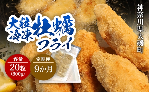 【定期便9カ月】大粒カキフライ 20粒 【冷凍 牡蠣 かき 大粒 冷凍カキフライ 魚介類 海鮮 惣菜 おかず ギフト 簡単調理 冷凍配送 送料無料 神奈川県 大磯町】