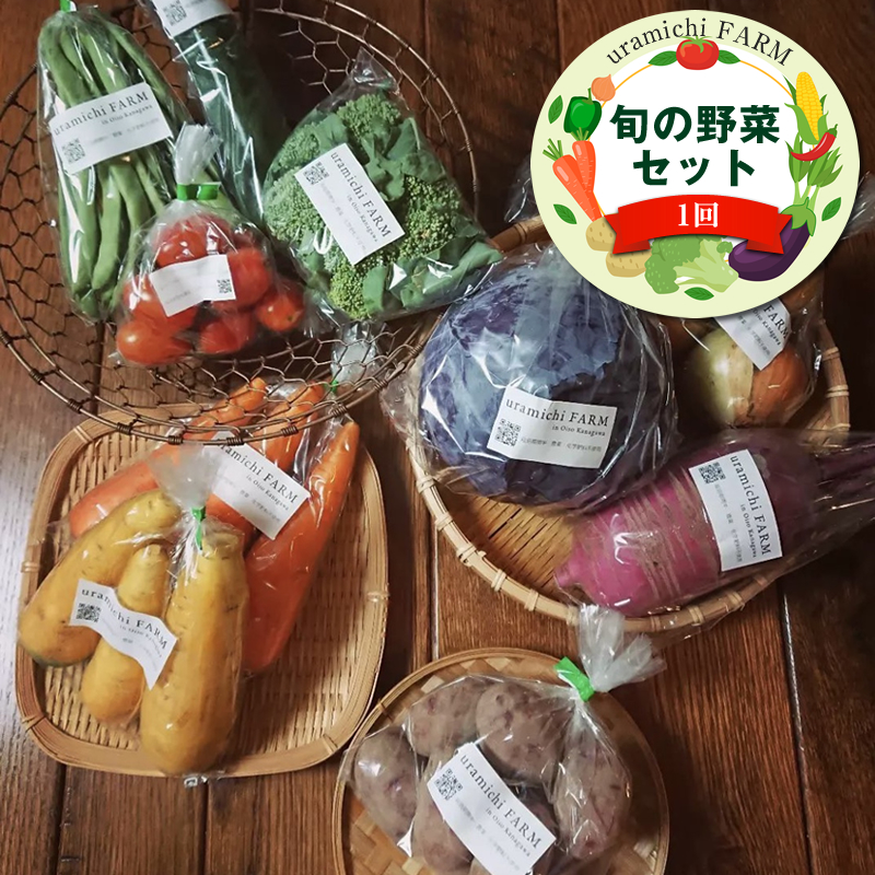旬の野菜セット（1回）【 神奈川県 大磯町 季節野菜セット 新鮮野菜】