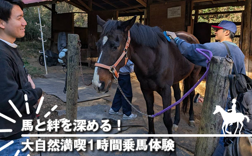 馬と絆を深める！大自然満喫1時間乗馬体験【 体験 レッスン 神奈川県 大磯町 】