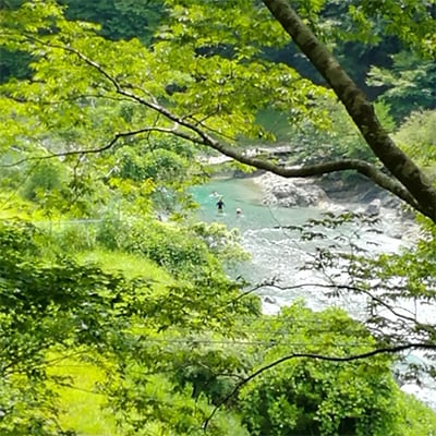 【大自然満喫】山里古民家「箒沢荘」で濃厚田舎体験　民宿1泊2食付きペアチケット
