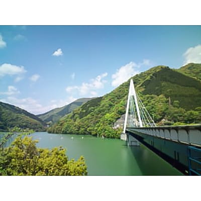 【丹沢湖畔の蕎麦宿　落合館】一泊二食付き宿泊券　丹沢湖畔でのんびり過ごす休日　1名様