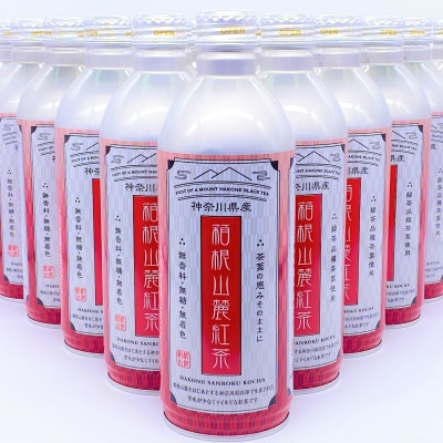 箱根山麓紅茶リシール缶490g×24本入