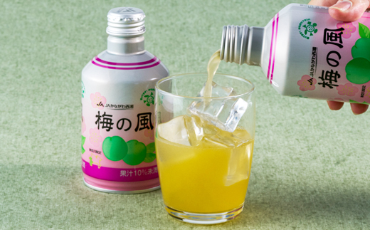 梅の風(清涼飲料水)290g×24本入り