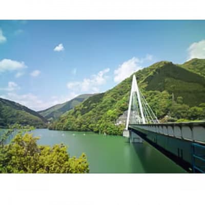 【丹沢湖畔の蕎麦宿　落合館】一泊二食付き宿泊券　丹沢湖畔でのんびり過ごす休日　3名様