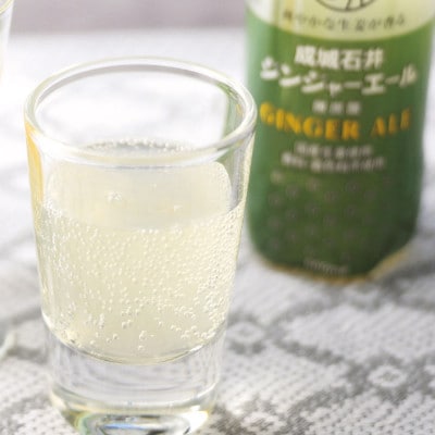 成城石井 ジンジャーエール 500ml×24本