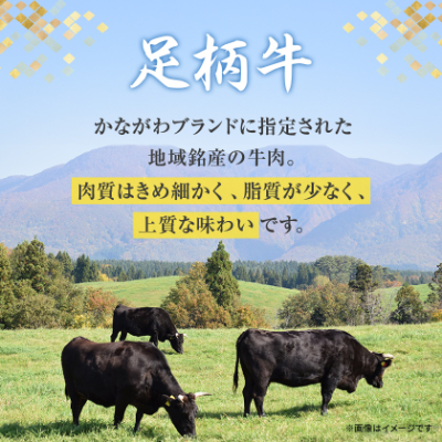 【鶏白湯】足柄牛もつ鍋4人前!お肉約750g【配送不可地域：離島】