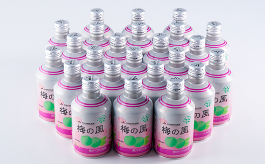 梅の風(清涼飲料水)290g×24本入り