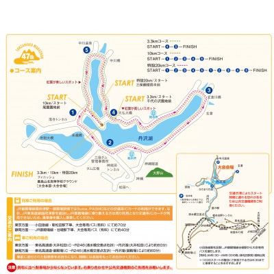 丹沢湖マラソン10km出走権＆駐車券＆オリジナルTシャツ＆さくらの湯利用券11月30日(日)開催