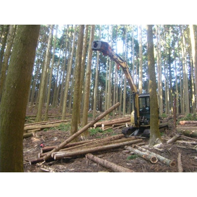 あしがらの薪(スギ、ヒノキ)【配送不可地域：沖縄県】