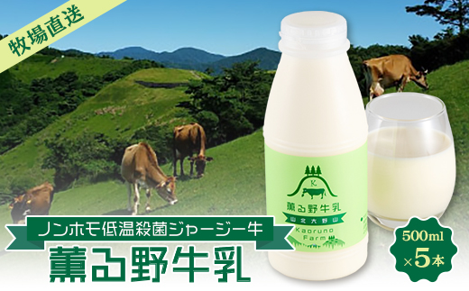 【牧場直送】薫る野牛乳500ml×5本　ノンホモ低温殺菌ジャージー牛　山地酪農　24時間365日放牧【配送不可地域：離島】
