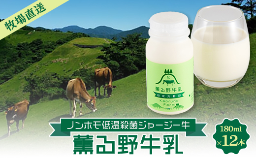 【牧場直送】薫る野牛乳180ml×12本　ノンホモ低温殺菌ジャージー牛　山地酪農24時間365日放牧【配送不可地域：離島】