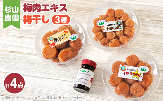 杉山農園 G 梅肉エキスと梅干しのセット