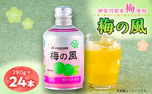 梅の風(清涼飲料水)290g×24本入り