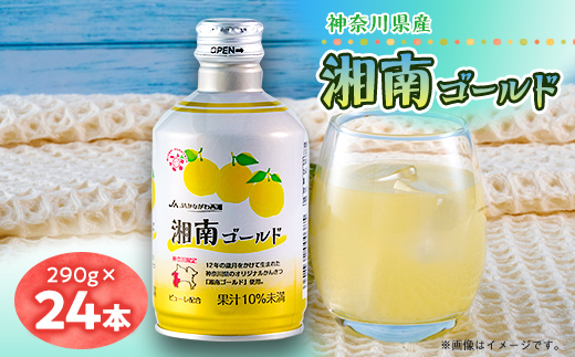 湘南ゴールド飲料  神奈川県産　290g×24本入り