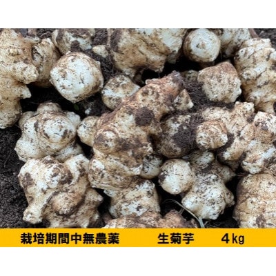 神奈川県山北産　生菊芋4kg