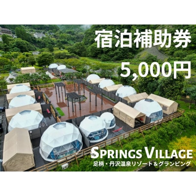 SPRINGS VILLAGE 足柄丹沢温泉リゾート＆グランピング 宿泊補助券 5000円