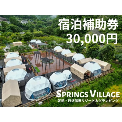 SPRINGS VILLAGE 足柄丹沢温泉リゾート＆グランピング 宿泊補助券 30,000円