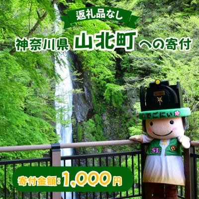 【返礼品なし】神奈川県 山北町への寄付 (1,000円)