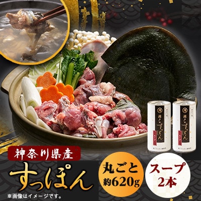【のし付き】神奈川産すっぽん鍋丸ごと1匹(620g)＆濃厚すっぽんスープ2本(各180g)セット【配送不可地域：離島】