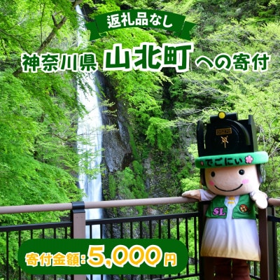 【返礼品なし】神奈川県 山北町への寄付 (5,000円)