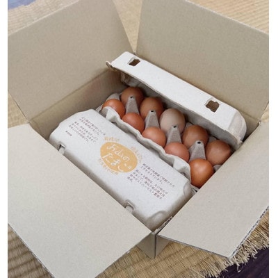 お山のたまご　10個入り×4パック【配送不可地域：離島】