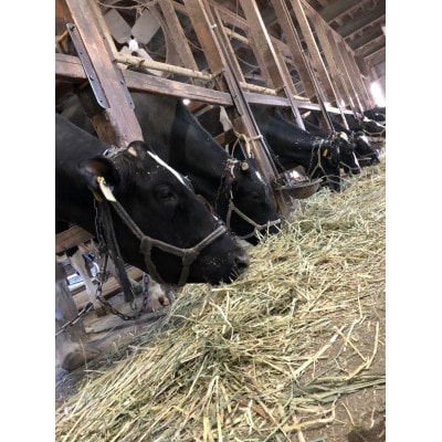 令和7年産「牛さんのお米」はるみ　6kg(3kg×2袋)