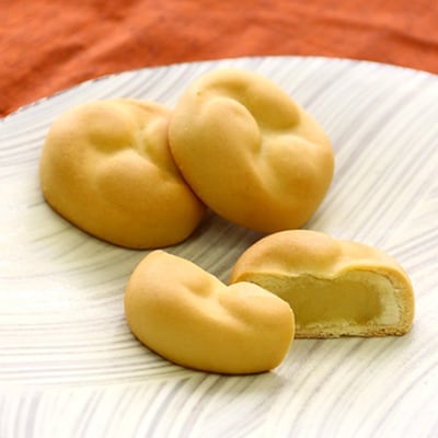 神奈川県指定銘菓詰め合わせ(羊羹・御炭山最中・獅子舞)【配送不可地域：離島】