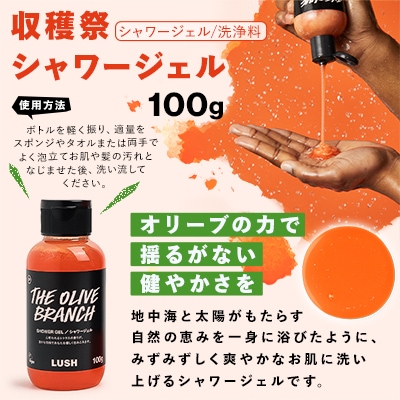 LUSH ラッシュ オール ザ ベスト ギフト　ボディケア 4個セット【配送不可地域：離島】